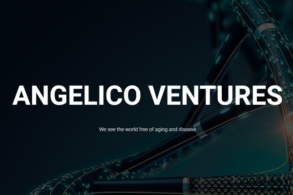 Angelico Ventures