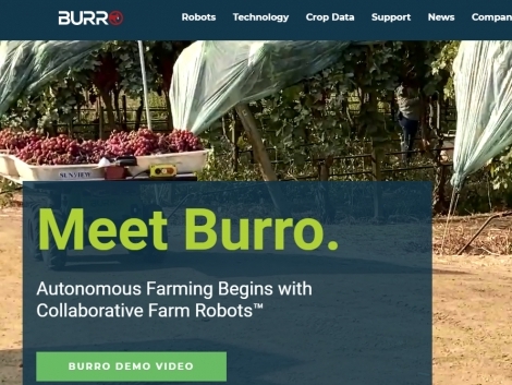 Burro привлек $10,9 млн
