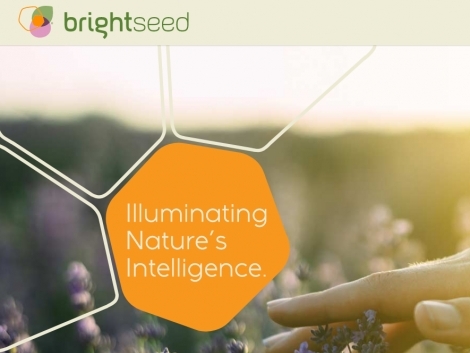 Brightseed объявил о привлечении $27 млн