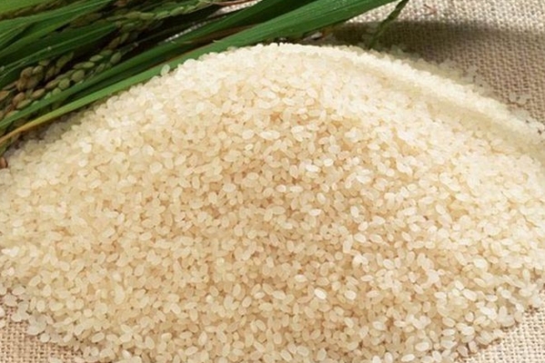 Цех по переработке риса-зерна в крупу компании ООО "КАЛИНА"