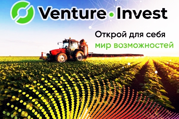 Venture Invest Group LTD