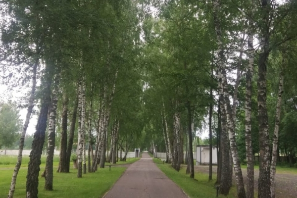 Апарт отель с рестораном в Новой Москве