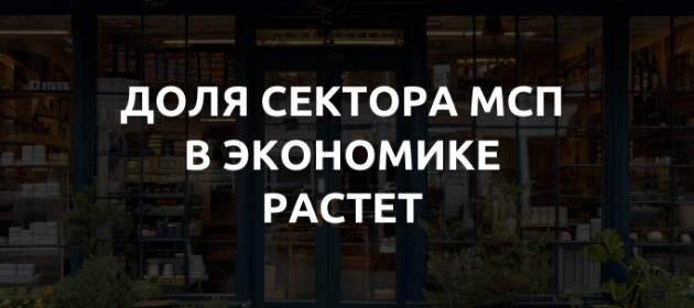 Как малый и средний бизнес формируют экономическую стабильность России